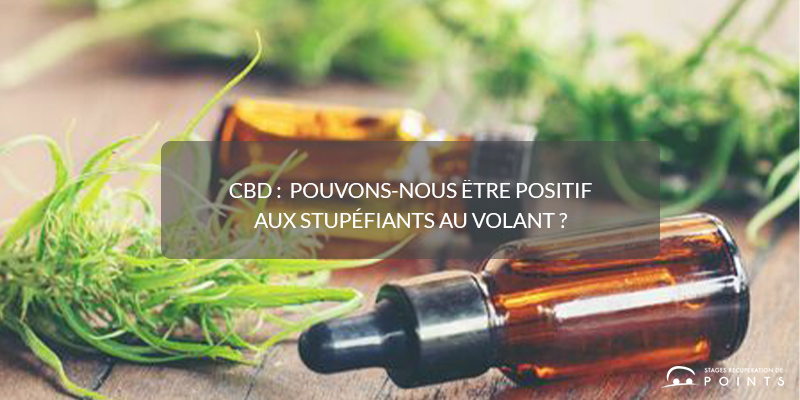 CBD : pouvons-nous être positif aux stupéfiants au volant ?